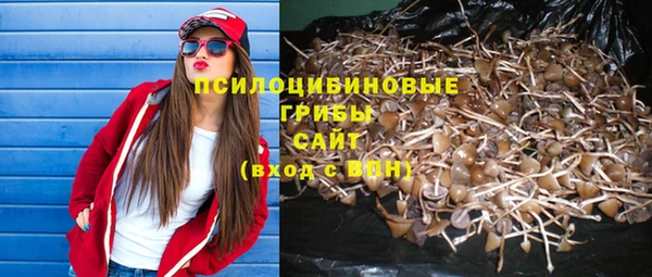 прущий лед Горно-Алтайск