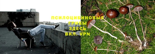 спайс Вязьма