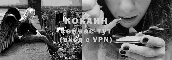 прущий лед Горно-Алтайск
